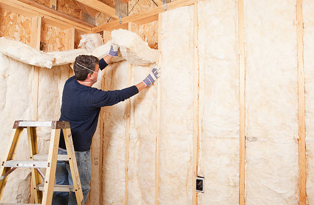 Best Wall Insulation Installation  in Volcano Golf Course, HI